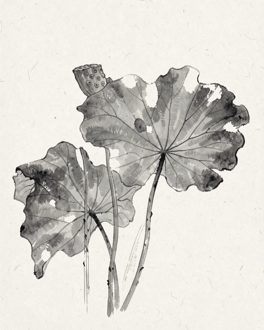 Gray ink wash painting of wilted lotus leaves and a seed head on textured rice paper