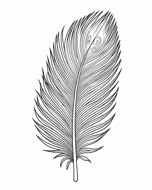 Black and white detailed line art illustration of a feather with fine barbs and swirls on a plain white background