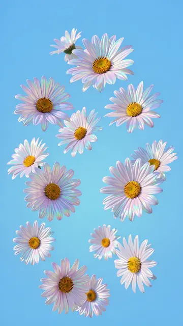 Iridescent petal daisies float scattered across a soft sky blue gradient background