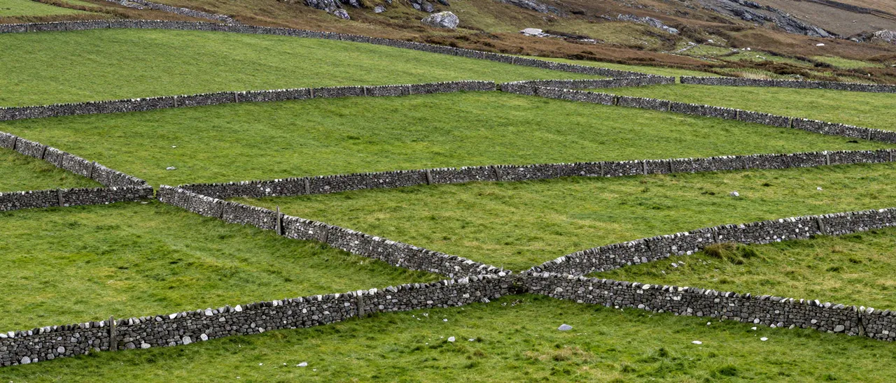 Interlocking dry stone walls divide rolling green pasture fields in a rural upland landscape
