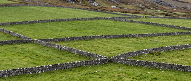 Interlocking dry stone walls divide rolling green pasture fields in a rural upland landscape