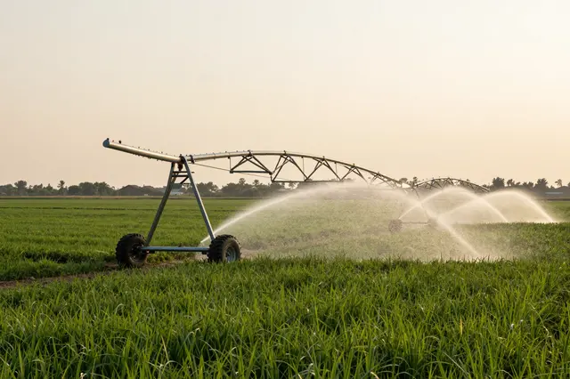 Center pivot irrigation sprinkler spraying water over a lush green crop field during warm golden sunset