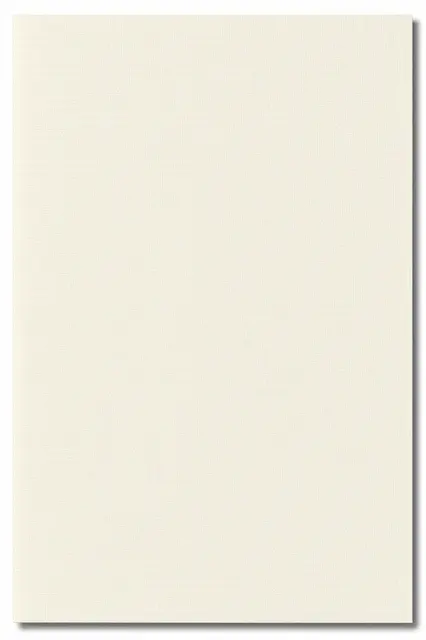 Full frame flat view of embossed ivory cardstock with a subtle linen weave texture