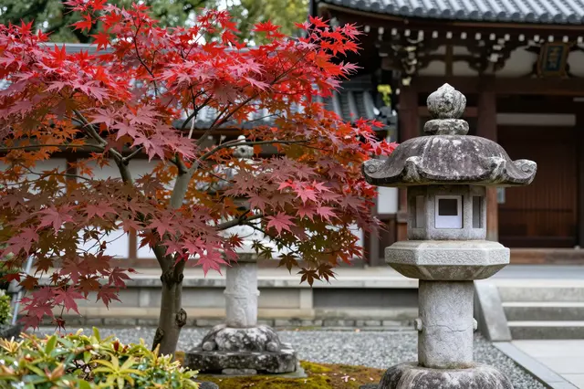 Red maple tree and traditional stone lantern stand in a tranquil Japanese temple garden