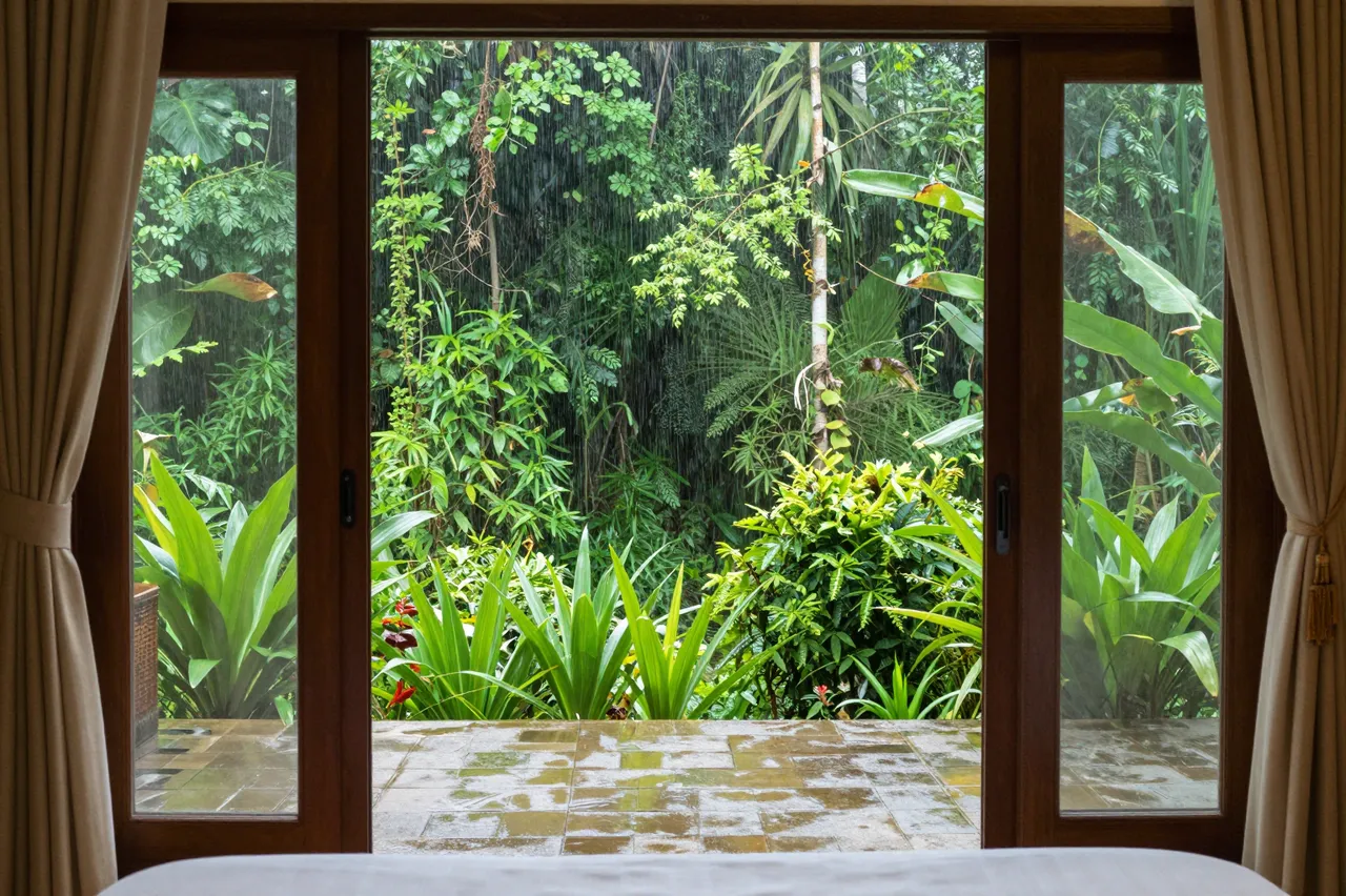 View from inside a hotel room through wooden sliding doors to dense tropical jungle during rain
