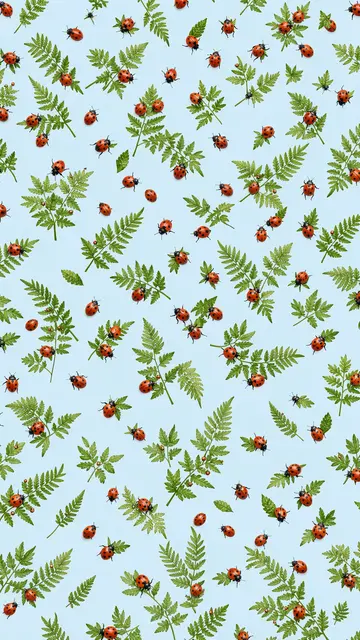 Scattered red ladybugs and delicate green fern leaves on a soft pale blue background