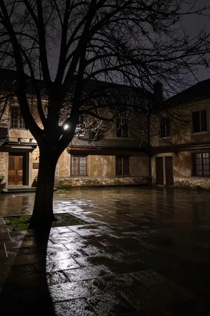 Wet flagstone courtyard with a bare leafless tree and old weathered stone buildings lit by lamplight after dark