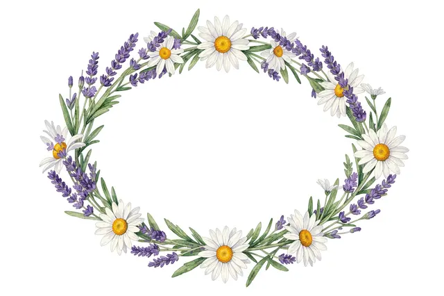 Watercolor illustration of an oval floral frame made of lavender sprigs and white daisies around empty white center space