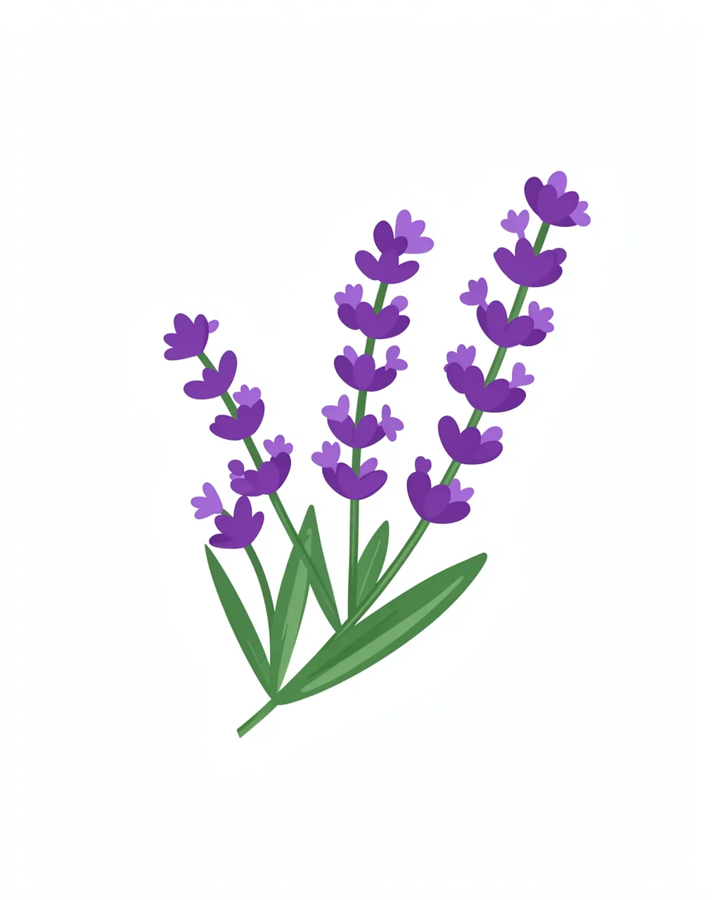 Flat clipart illustration of a lavender sprig with purple blossoms isolated on a plain white background