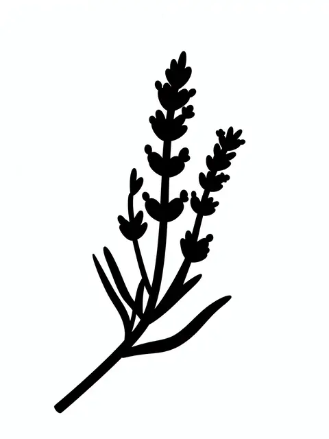 Solid black silhouette of a lavender sprig with tiny bud details on a plain white background