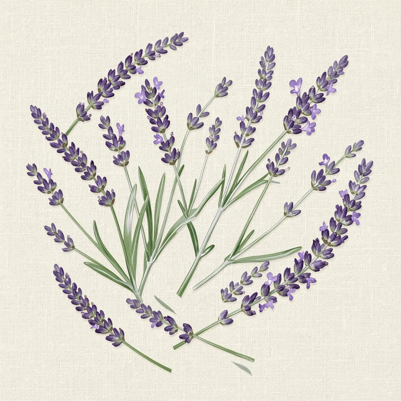 Hand-painted lavender sprigs scattered loosely across a pale textured linen background