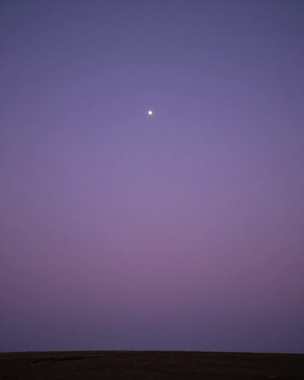 A smooth gradient lavender twilight sky holds a single bright star above a dark flat horizon