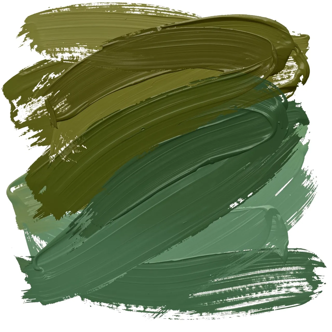 Overlapping textured thick paint brush strokes in olive, moss and jade green against a plain white background
