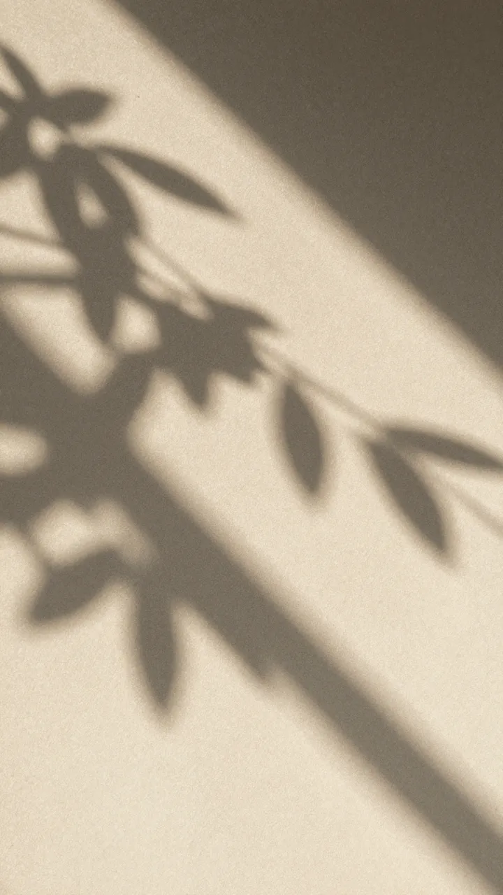 Soft blurred plant and leaf shadows stretch diagonally across a warm beige lit wall