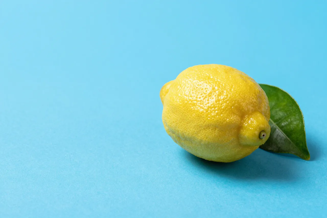 A fresh whole lemon with a green leaf sits on the right of a bright solid blue backdrop with empty copy space on the left.