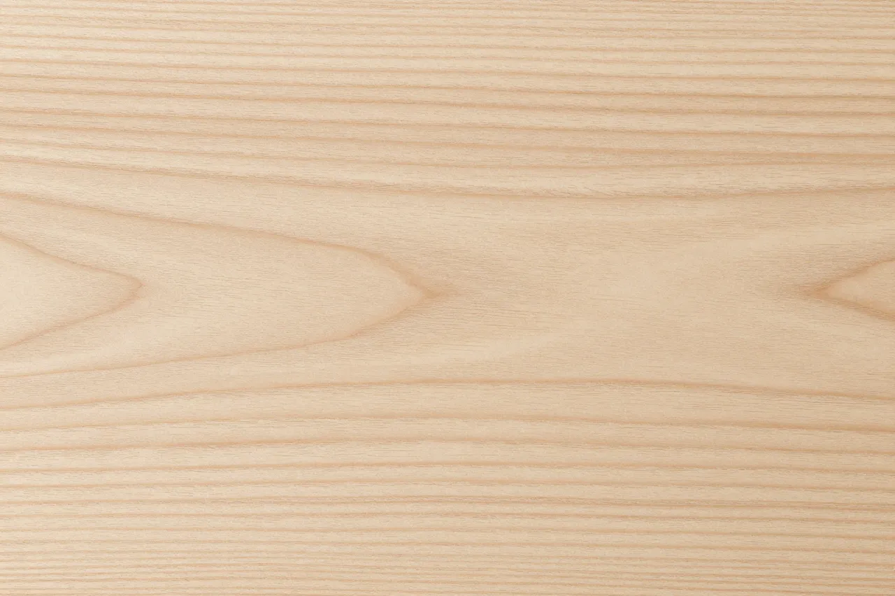 Close-up view of smooth pale white oak wood grain with natural flowing pattern lines