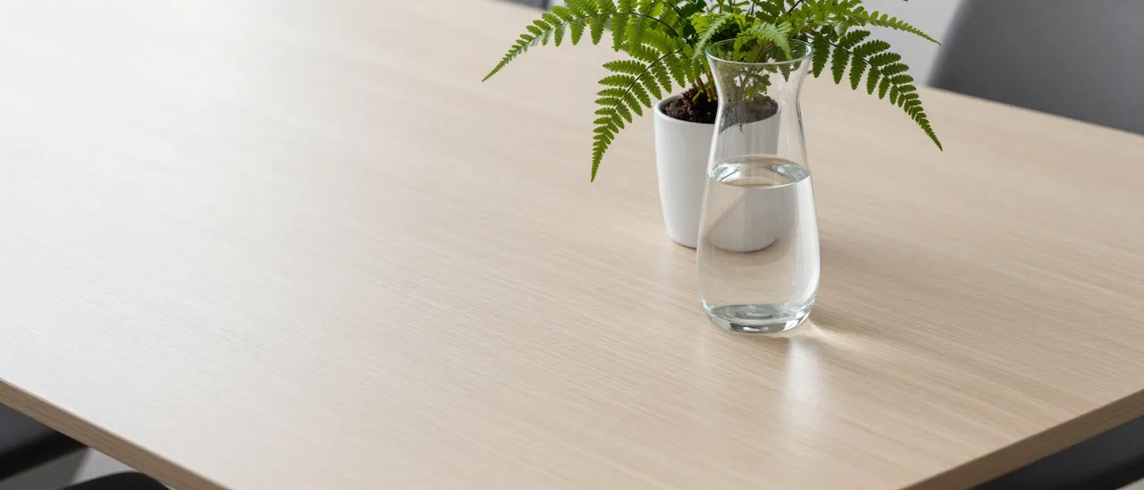 Empty light wood meeting table with a glass water carafe and small potted fern in the corner