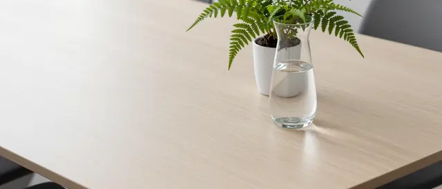 Empty light wood meeting table with a glass water carafe and small potted fern in the corner