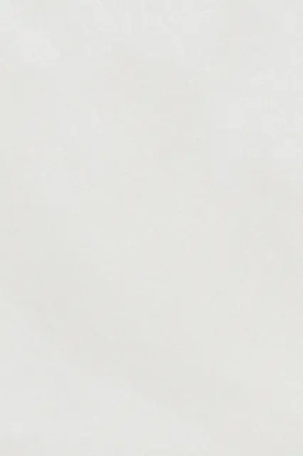 Full frame top view of a pale white engineered quartz slab surface with faint subtle texture and fine gray specks