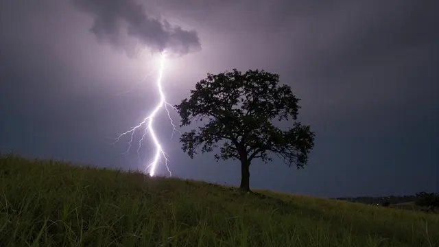 Bright lightning illuminates a stormy night sky beside a lone tree on a grassy hill