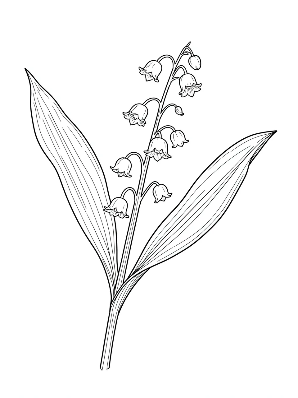 Fine line drawing of a lily of the valley stem with bell flowers and leaves on a plain white background