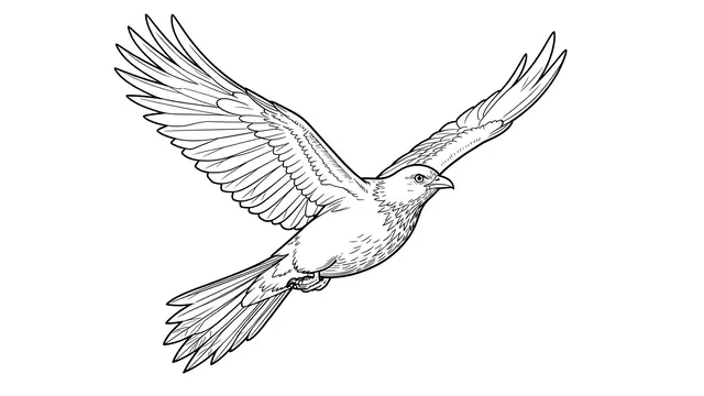 Black and white line art of a flying bird with spread wings against a plain white background