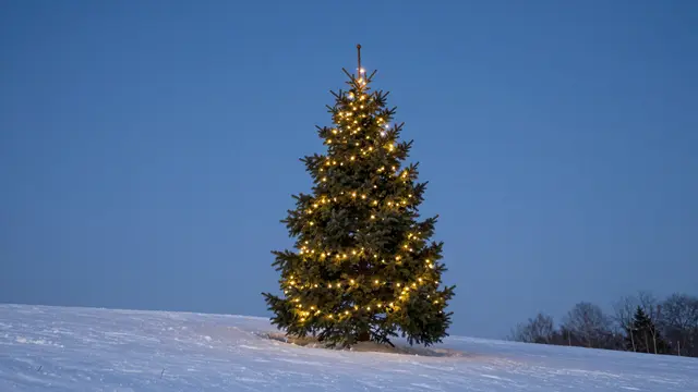 A decorated fir tree strung with warm lights stands alone on a snowy hill under a clear blue hour sky