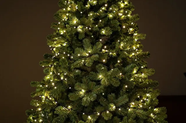 A close-up of a Christmas tree strung with glowing warm fairy lights against a dark indoor wall