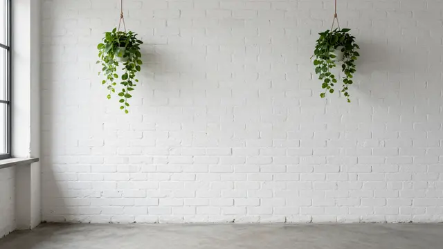 Light filled empty loft interior with a white brick wall and two hanging pothos plants beside a window