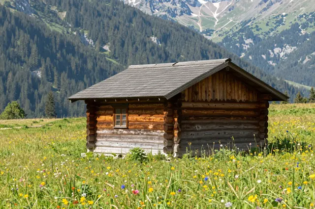 A weathered wooden log cabin sits in a sunlit summer wildflower meadow with forested mountains behind it.