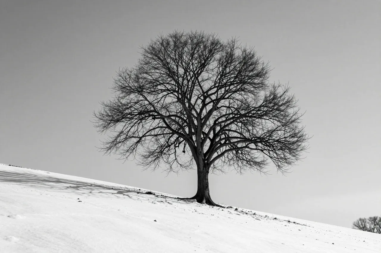 Black and white view of a lone leafless tree standing on a gently sloping snowy hillside under a pale overcast sky
