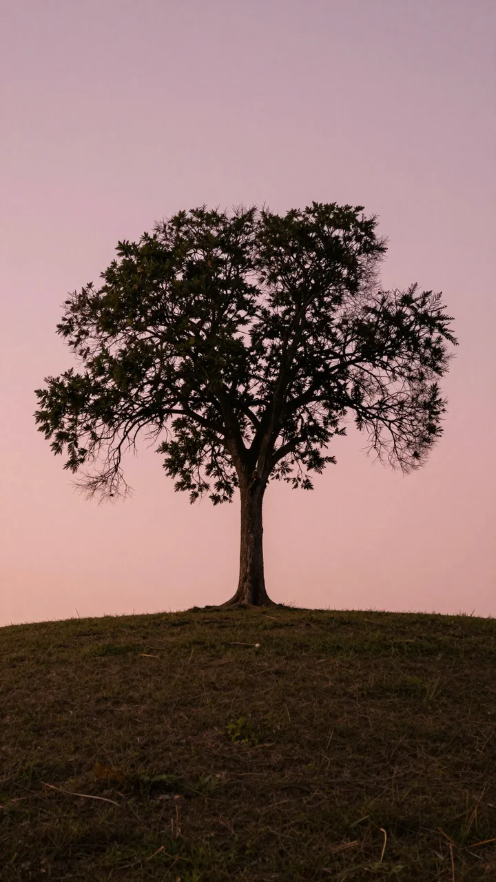 Silhouette of a single tree standing on a grassy hill beneath a soft pink sunset sky
