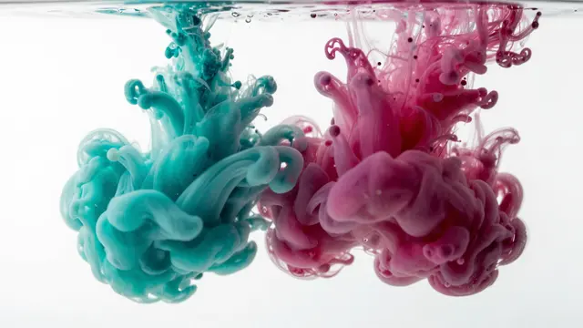 Vibrant magenta and teal ink swirl and curl while dispersing in clear water against a bright white background