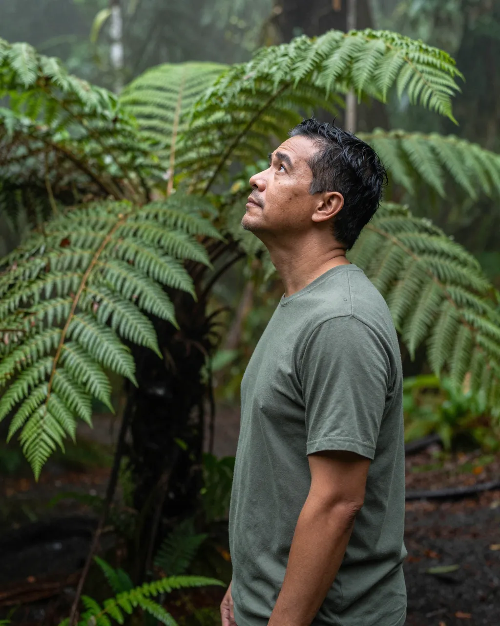 Side view of a mixed-race man in his forties looking up while standing beside giant ferns in a misty rainforest