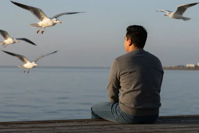 A man sits on the edge of a wooden pier watching seagulls fly over calm water at dusk