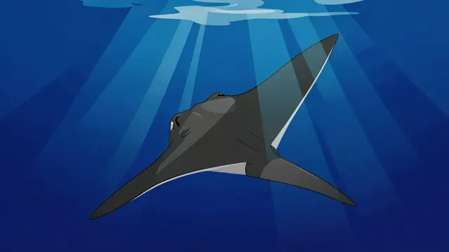 A cartoon manta ray swims through deep blue ocean water with sunbeams shining from the surface.