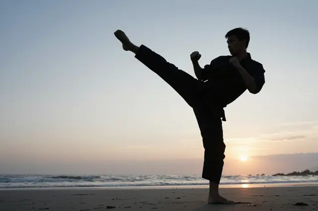 A martial artist performs a high kick silhouetted against a dawn sky on a sandy beach