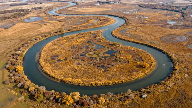 Aerial view of a looping meandering river winding through golden autumn wetland terrain