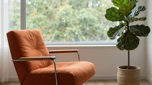 An orange mid-century lounge chair sits next to a fiddle-leaf fig beside a large window