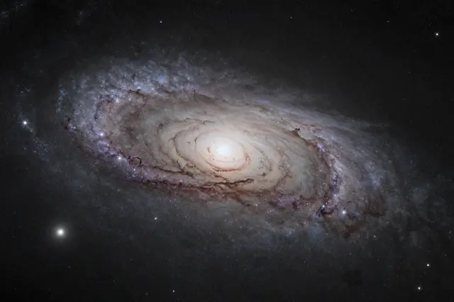 A wide deep exposure view of a spiral galactic core with dark dust lanes against dark space