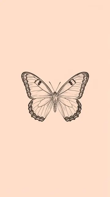 Symmetrical charcoal line art butterfly centered on a soft pale peach background