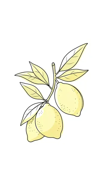 Vertical line art illustration of a lemon branch with pale yellow wash on a plain white background