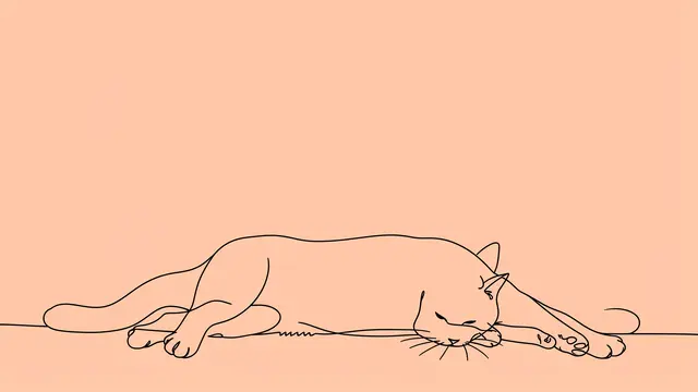 Continuous black line drawing of a stretched resting cat along the bottom of a solid peach background