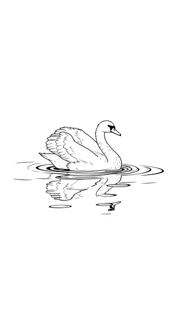 Black line art of a swan gliding on still water with its reflection on a plain white background