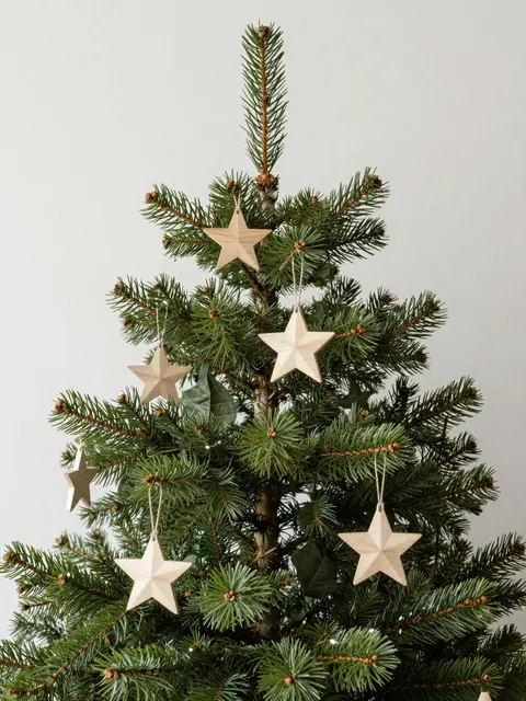 Small evergreen Christmas tree decorated with carved wooden star ornaments against a plain light wall