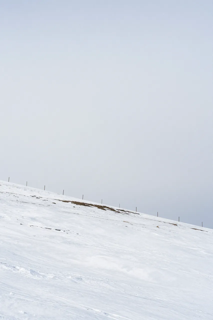 A steep snowy hillside with a line of fence posts under a vast pale overcast sky and empty upper copy space.