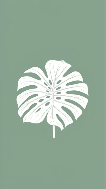A white line art monstera leaf centered on a solid sage green background