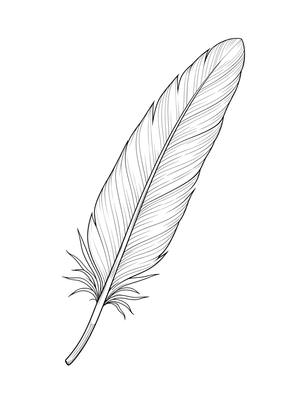Delicate fine line drawing of a single feather set against a plain white background