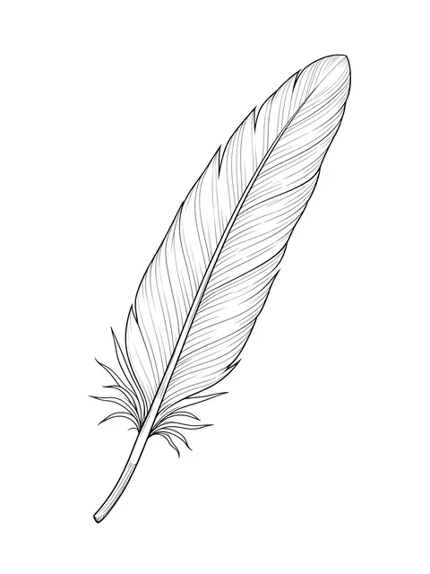 Delicate fine line drawing of a single feather set against a plain white background