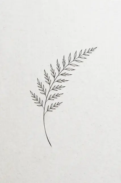 Delicate thin black ink fern leaf drawing on plain light textured white paper